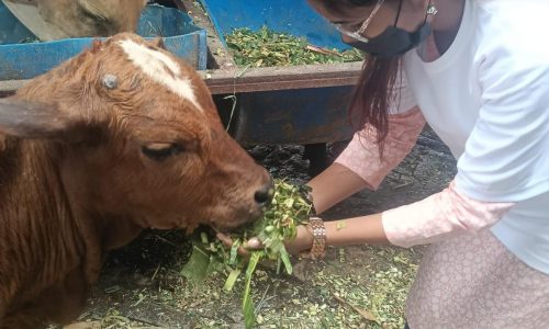 WhatsApp Image 2026-04-02 at 8.06.08 PM