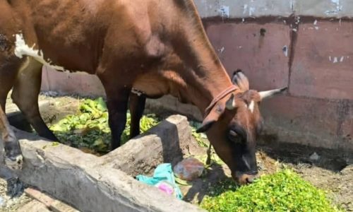 WhatsApp Image 2026-04-10 at 12.02.35 AM